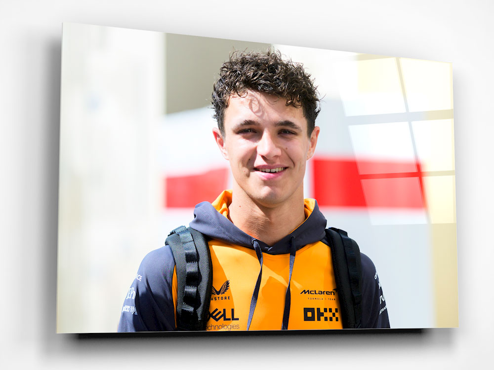 Lando Norris - portrait